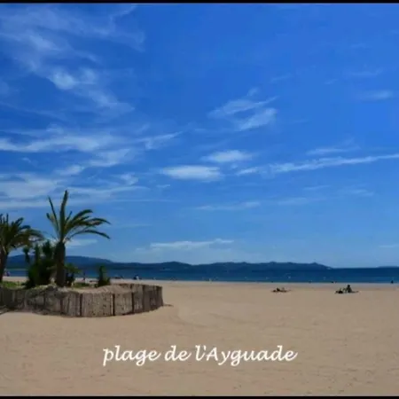 アパート Studio L Ayguade A 300 Metres De La Plage イエール