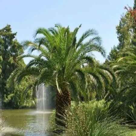 Studio L Ayguade A 300 Metres De La Plage Apartment *